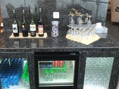 -虹桥机场国航贵宾室v8