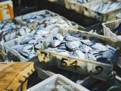 -济南海鲜大市场