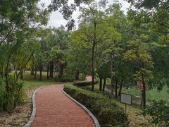 -海南热带海洋学院(三亚校区)