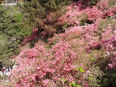 -木兰云雾山