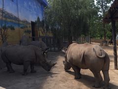 -西安秦岭野生动物园