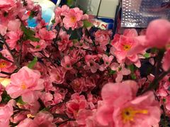 -丽达购物中心(崂山店)