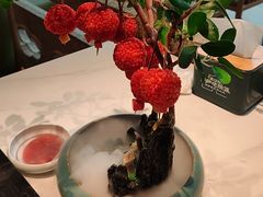 -奔跑吧陕菜·盛世长安(民乐园万达店)