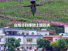 -红山村