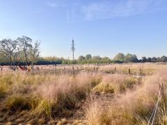 -汉长安城未央宫国家考古遗址公园