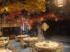 -老凯俚酸汤鱼(多彩城店)