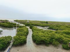 -北海金海湾红树林生态旅游区