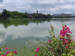 -惠州西湖