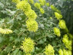 -杭州植物园