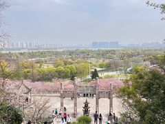 -苏州上方山国家森林公园