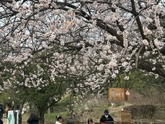 -南北湖风景区