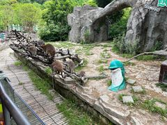 -宁波野生动物园