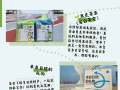 -日照海滨国家森林公园