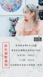-ODIN 奥丁形象设计 