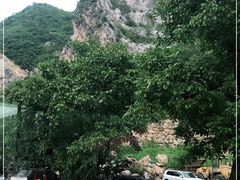 -天源渔港农庄