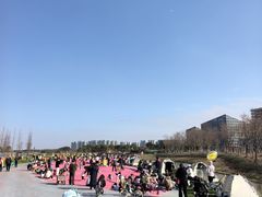 -春花秋色城市公园