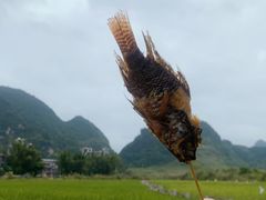 -靖西鹅泉风景区