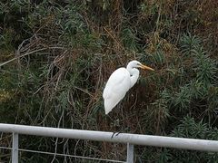 -厦门园林博览苑