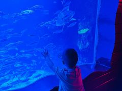 -太平洋海底世界