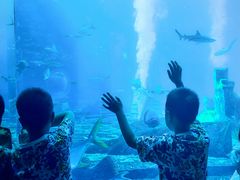 -亚特兰蒂斯•OSSIANO奥西亚诺海底餐厅