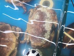-87号烧烤海鲜·大排档(金沙滩店)