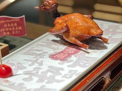 -大鸽饭(北京路店)