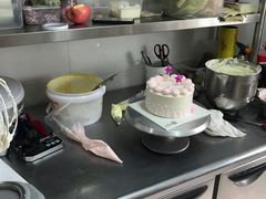 -维尔纳斯·生日蛋糕动物奶油冰淇淋蛋糕(人大店)
