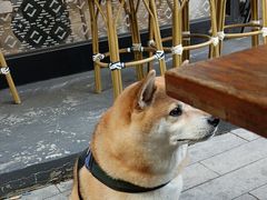 -Peet's Coffee皮爷咖啡(大学路店)