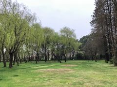 -同里国家湿地公园