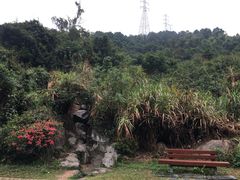 -阳台山森林公园