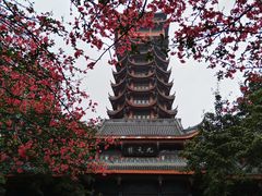 -塔子山公园
