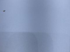 -姑娘手肉夹馍·凉皮·粉面(邗江万达店)