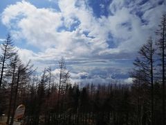 -富士山吉田線五合目