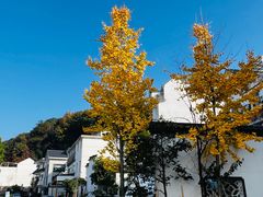 -江郎山风景名胜区