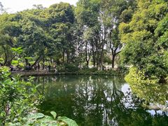 -成都市活水公园