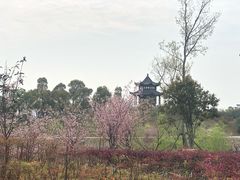 -敬亭山风景名胜区