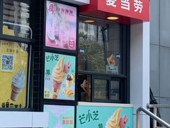 门面-麦当劳(农光里店)