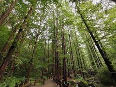 -北京植物园南门售票处