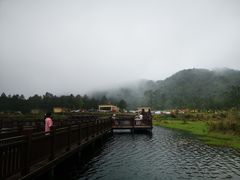 -海南热带雨林国家公园吊罗山景区