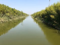 -黄海国家森林公园