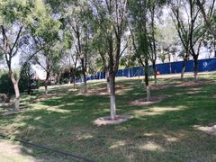 -永定河休闲森林公园