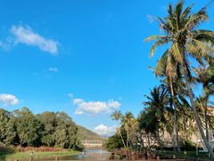 -三亚亚龙湾金棕榈度假酒店