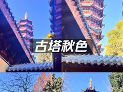 -鸡鸣赐茶(鸡鸣寺路店)