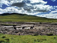 -青海湖国家重点风景名胜区