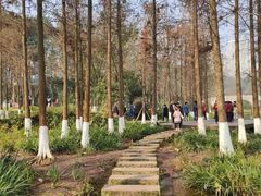 -重庆彩云湖湿地公园