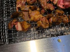 -柿子树炭烤羊腿(金台路店)