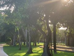 -三亚海棠湾万丽度假酒店