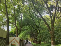 -杭州半山国家森林公园