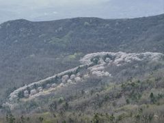 -樱花山风景区
