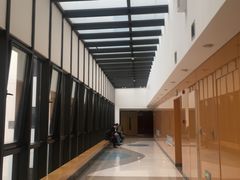 -中国宋庆龄青少年科技文化交流中心